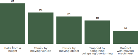 Bar chart of workplace fatalities causes.